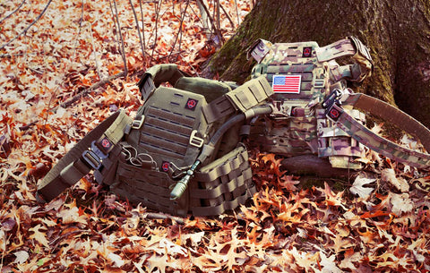 Lightweight modular plate carrier vest resting on a forest floor with vibrant autumn leaves in the background.