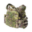 Plate carrier multicolor back view